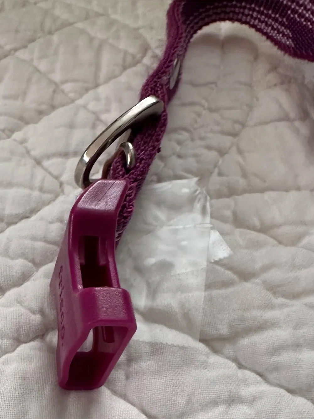 New~Frisco Plum Adjustable Dog Collar